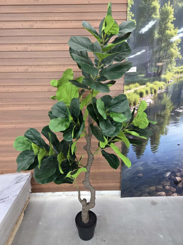 Изкуствено декоративно дърво „Фидъл Лийф“ – 180 см